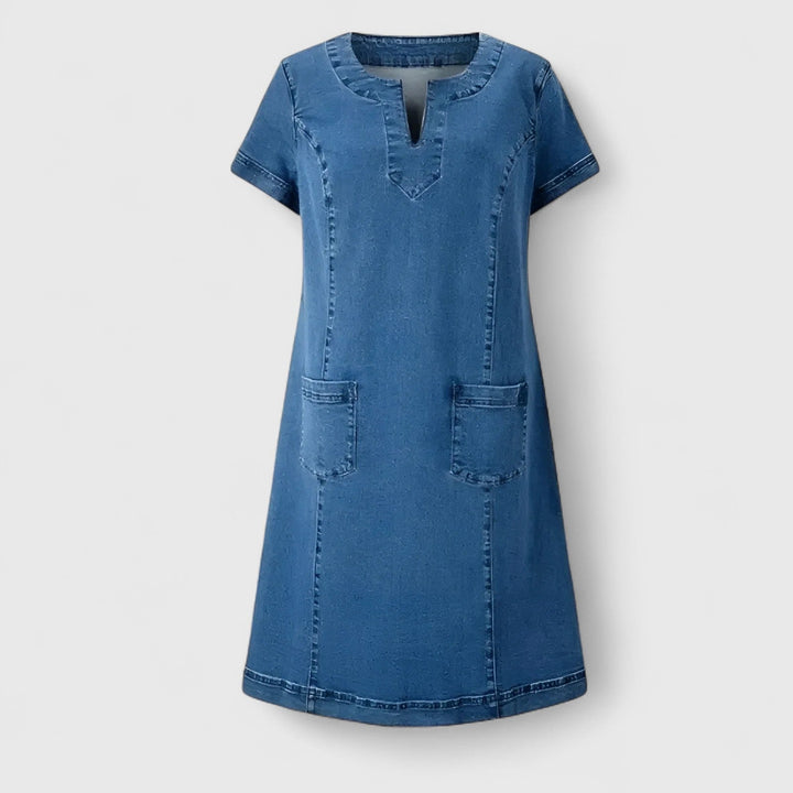 Harper Brooklyn | Denim Dress